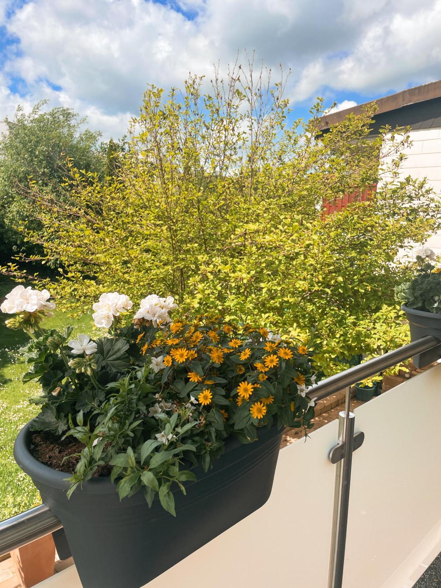 Appartment Paula Wolfhagen Zewnętrze zdjęcie